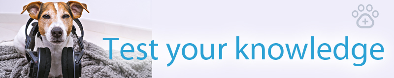 Dexmdetomidine-test-your-knowledge.jpg