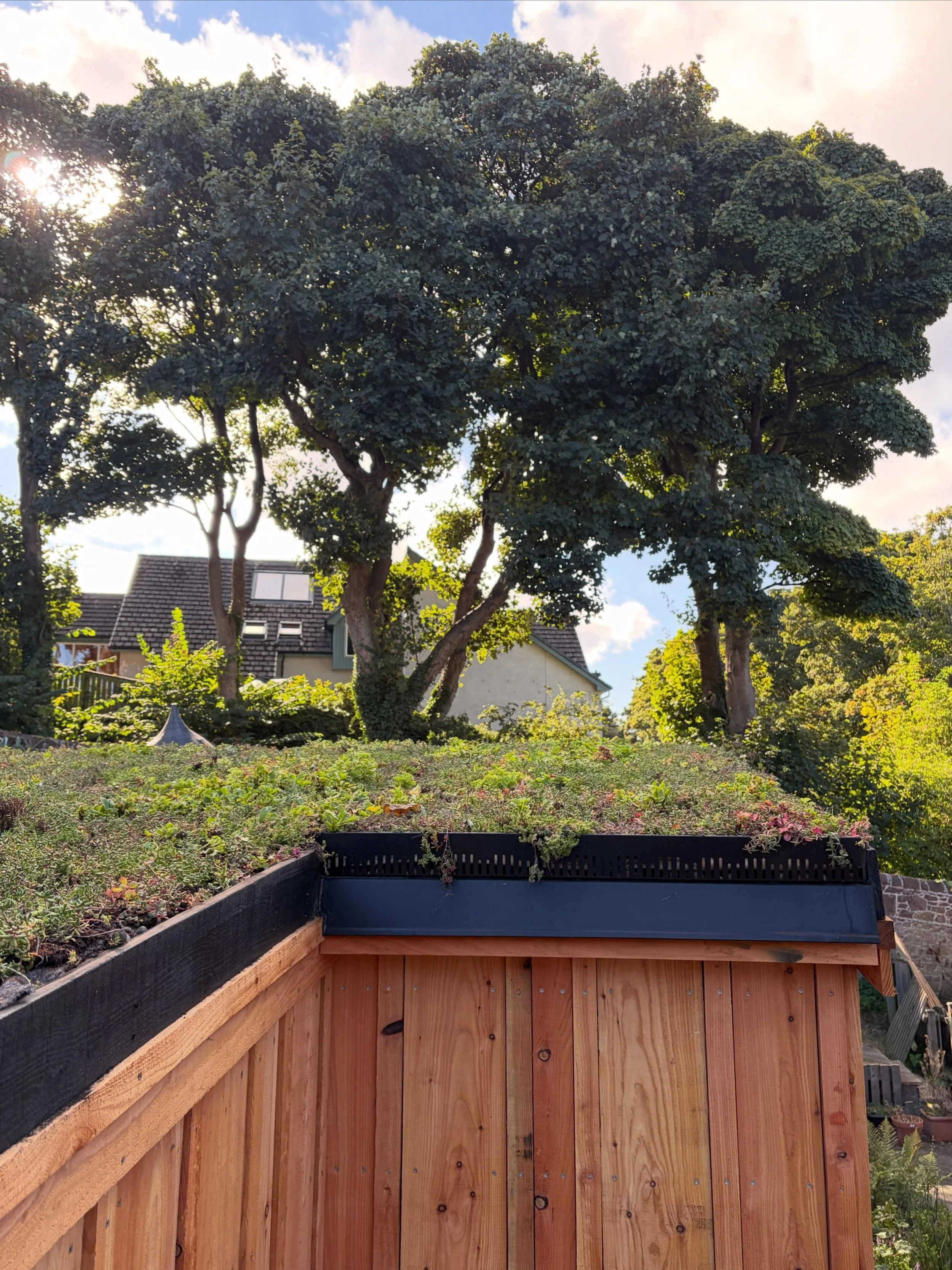 A garden office, just about ready for handover. Sedum roof, big recessed mirror, honest larch cladding, oak floor, and another of our spruce ply interiors with birch ply details. #designandbuild