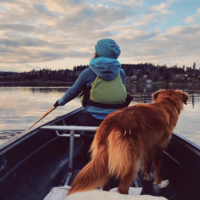 Isolation at its best.

#gorgewaterway
#portageinlet
#saanich
#keepyourdistance 
#tollersofinstagram 
#covi̇d19