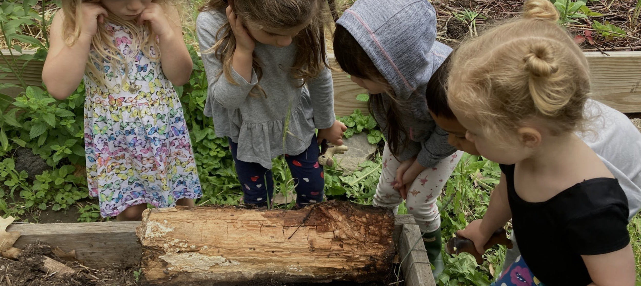 Screenshot 2024-09-04 at 10.47.26 AM.png