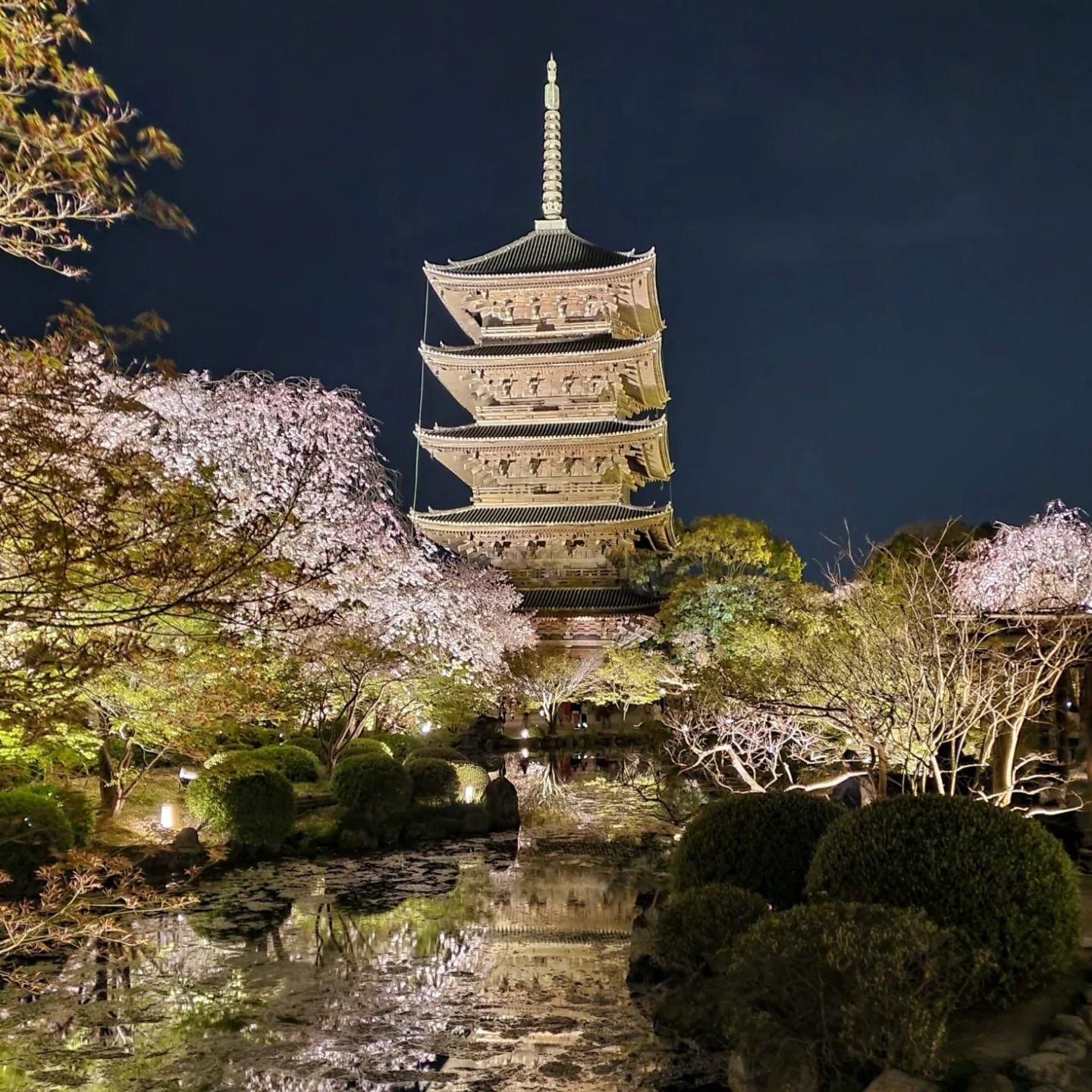 🌸👀LINK TO THE PAST🌝🙏

A nighttime wonderland of blossoms.
Tō-ji (東寺) has been winning rave reviews for its evening light up, and it's easy to understand why. The main precinct is bursting with sakura trees, all now at their peak🥰🙌

As old as Ky