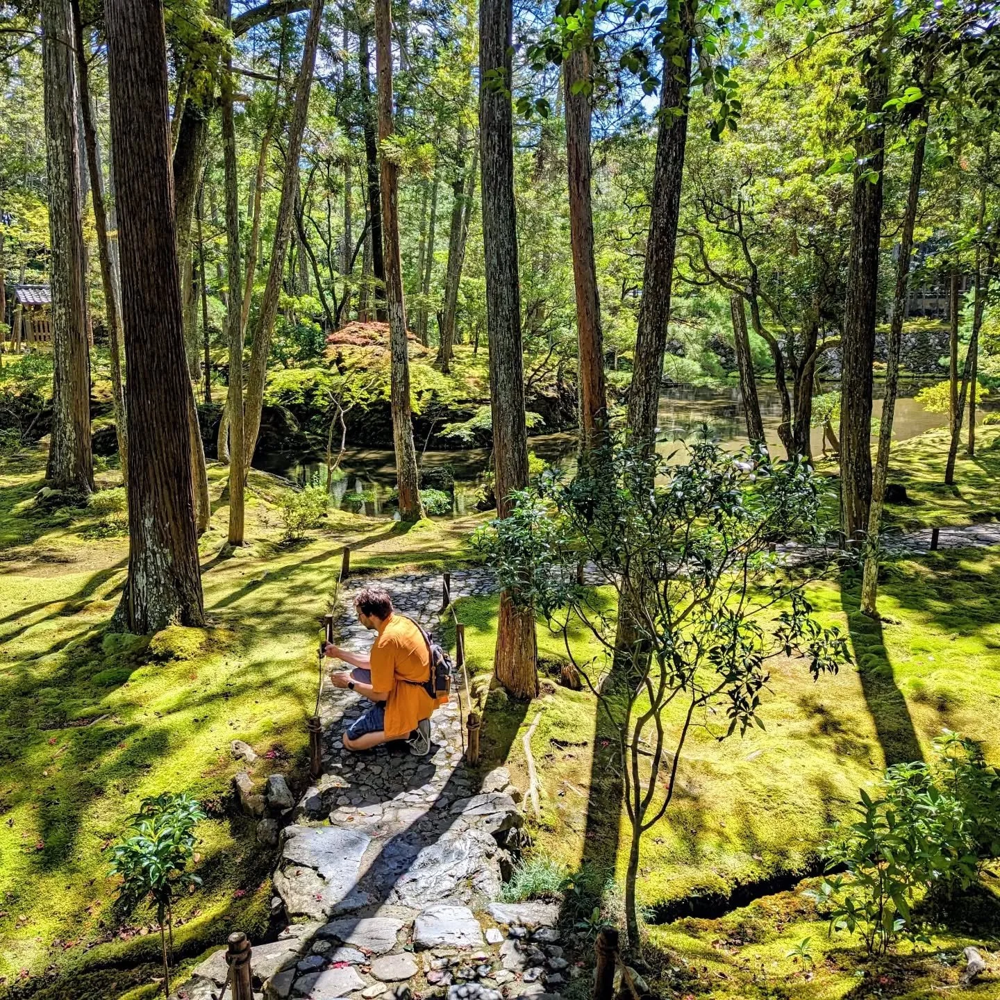 🌊🪨THE TEMPLE OF MOSS🌿✨

Although moss was never really a great consideration for the creators of Saihō-ji's (西芳寺) gardens, ruination and a series of devastating
floods by chance created Japan's greatest moss garden.
So much so that the temple is b