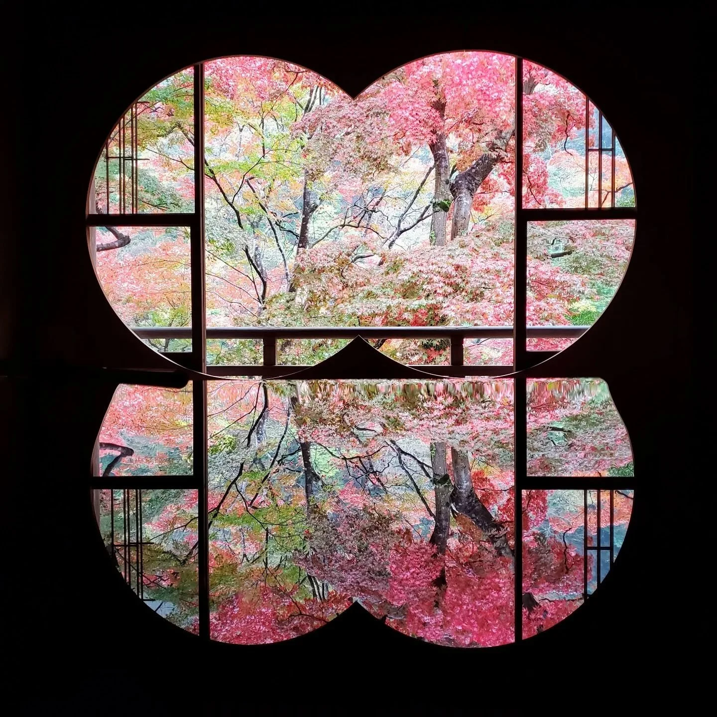 🖌️CULTURE DAY🎎

November 3rd, 'Bunka-no-hi' (文化の日), is a national holiday in Japan.
It's a day for promoting culture, the arts, and academic pursuits.
'Culture Day' was created in 1948 to commemorate the announcement of the post-war Japanese consti