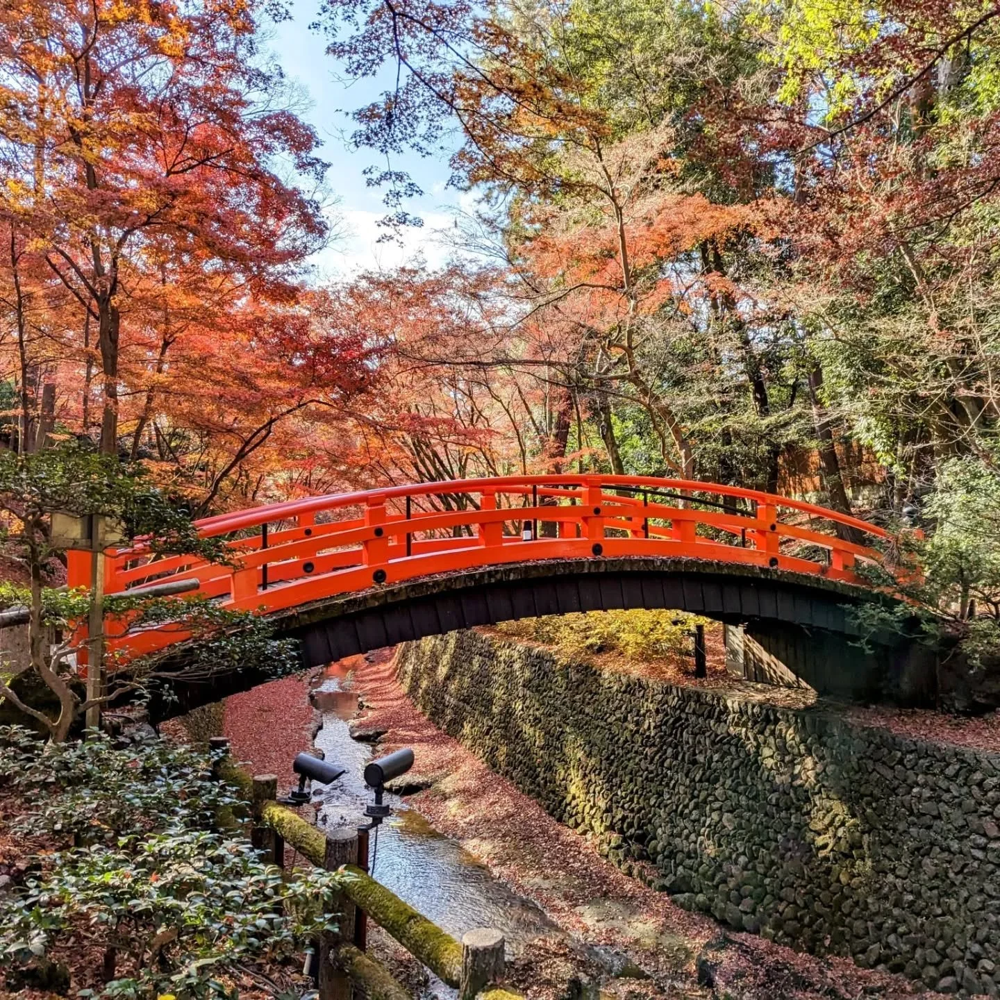 🍁AUTUMN AT KYŌTO'S GREAT WALL🧱

During fall Kitano Tenmangū allows guests to enjoy the maples that grow along the Odoi (御土居).
Now mostly leveled, this great berm was created by Toyotomi Hideyoshi to encircle and define the boundaries of the city.

