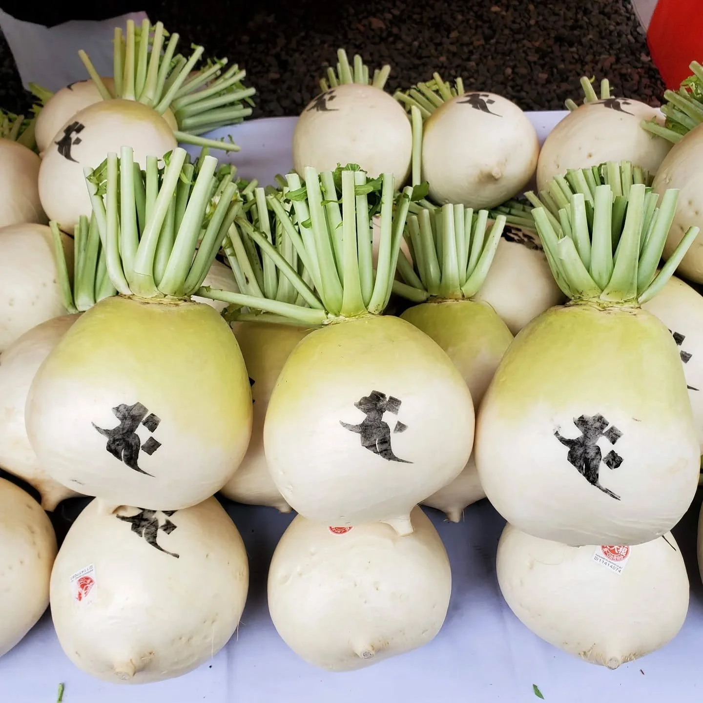 🥣RADISH GOBBLING😊

It's time once again to eat up Daihōon-ji's (大報恩寺) blessed daikon for another year of protection against sickness and disease.
On December 7th and 8th about 5000 radishes are cooked and 10,000 meals consumed during the 'Radish Bo