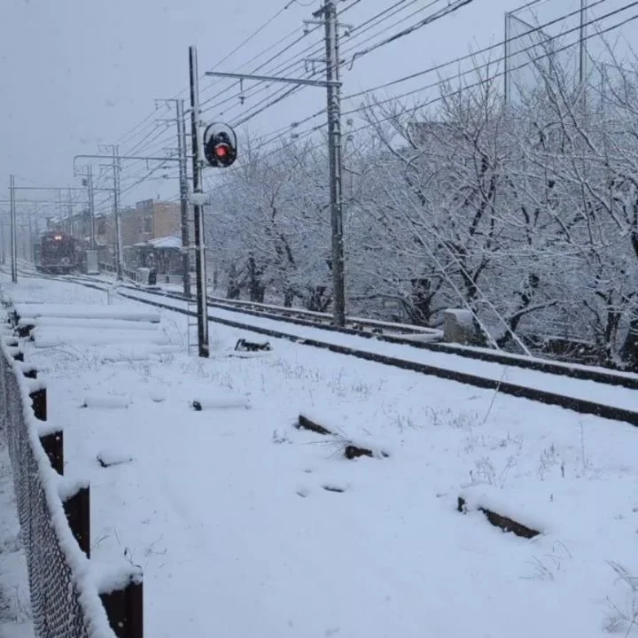 Snowy tram day👋🌨️☃️🚋🥰

#Kyoto #snow #嵐電 #Randen #Tojiin