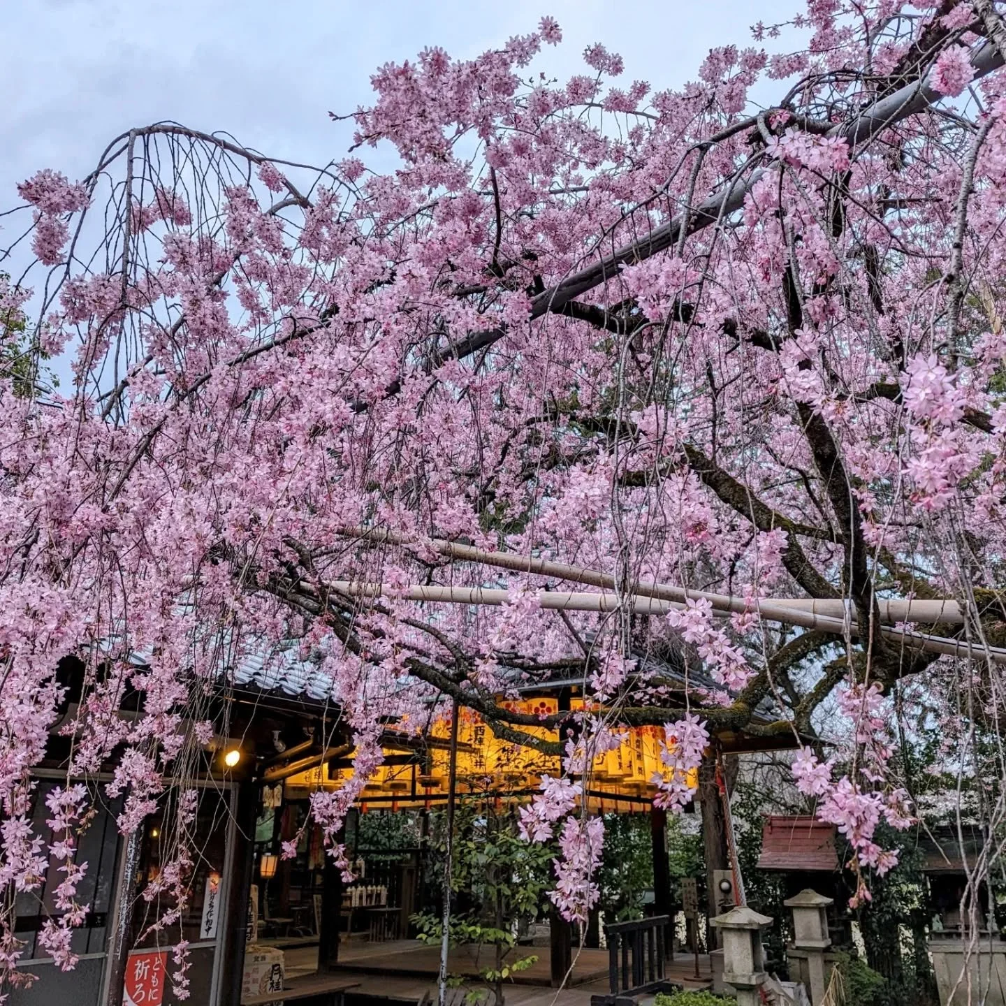 🔥🌸THE SHRINE OF FIRE AND WATER🌸🌊

Suika Tenmangū claims to be the oldest Tenmangū shrine in Japan!

The character's '水' (sui) and '火' (ka) in the shrine's name mean 'water' and 'fire, and it is believed Suika Tenmangū (水火天満宮) offers protection fr