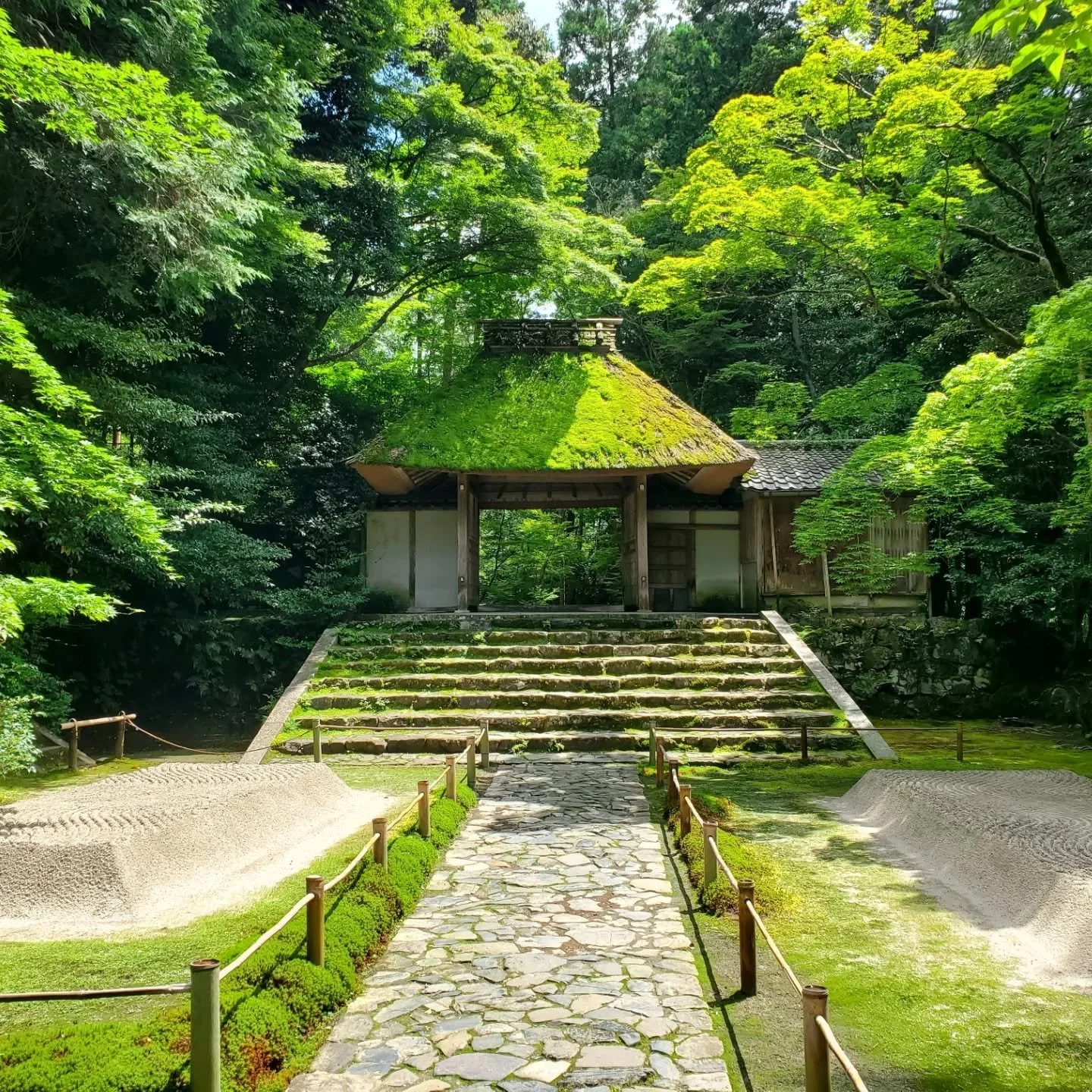 ⏰🙏HŌNEN-IN😯🎶

Banbukyō-ji (萬無教寺 aka Manmukyō-ji) sits on the Philosopher's Path beneath Zenki-san (善気山).
Thanks to its links to Hōnen, it is better known as Hōnen-in, and because of the many camellia that grow here it's nicknamed Tsubaki-no-dera (