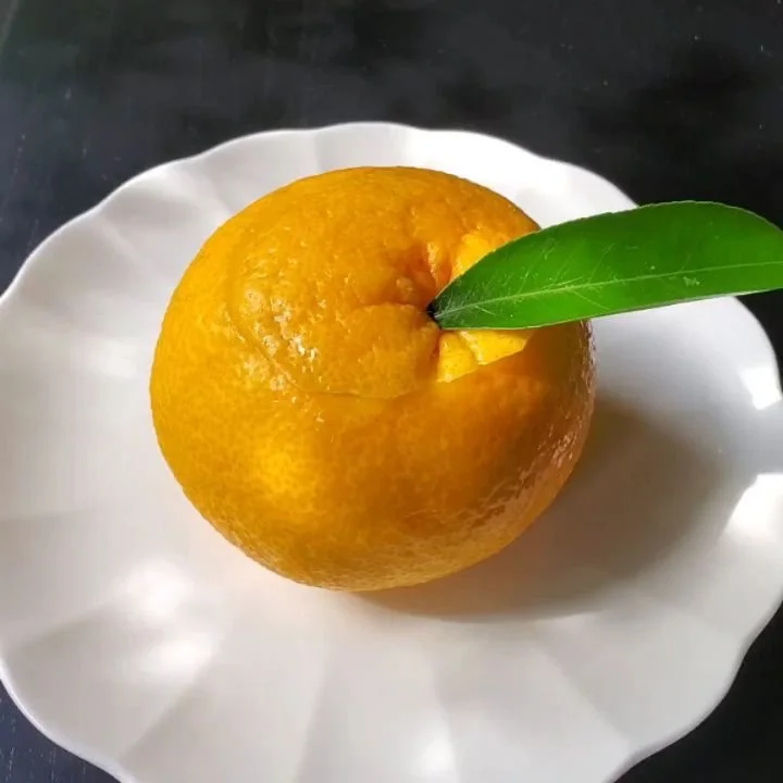 As Typhoon No.6 (Tropical Storm Jangmi) approaches the weather has become languorous here in Kyōto. Thankfully Oimatsu's (老松) refreshing 'natsukan-tō' (夏柑糖 'sugared Chinese citron') is here to give the afternoon a boost of energy 🍊🙌

Natsukan-tō ar