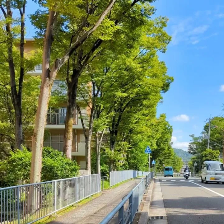 My morning cycle to work is now accompanied by the deafening whirr of cicadas...very much the sound of summer in Japan.

On this same road in the evening the sound of cicadas has become a lot more peaceful. Different species of cicada sing at differe