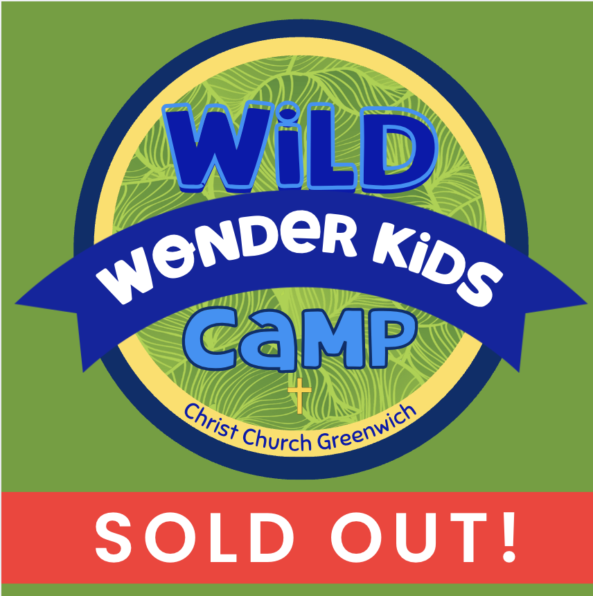 Wild_Wonder_Camp_Square.png