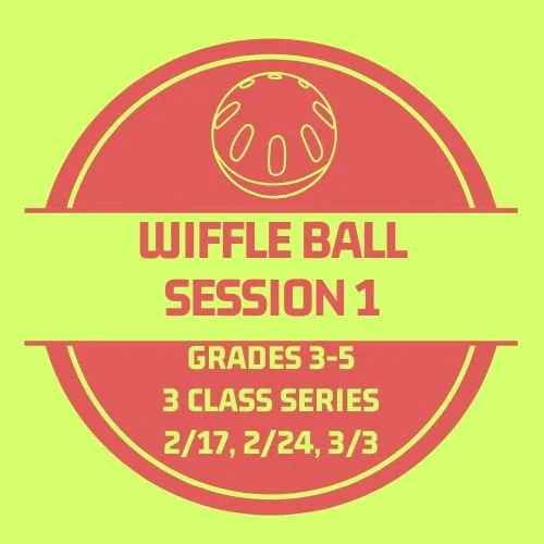 Wiffle Ball Session #1