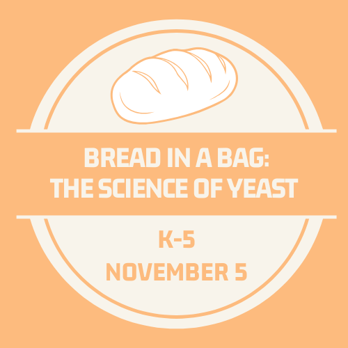 Bread in a Bag