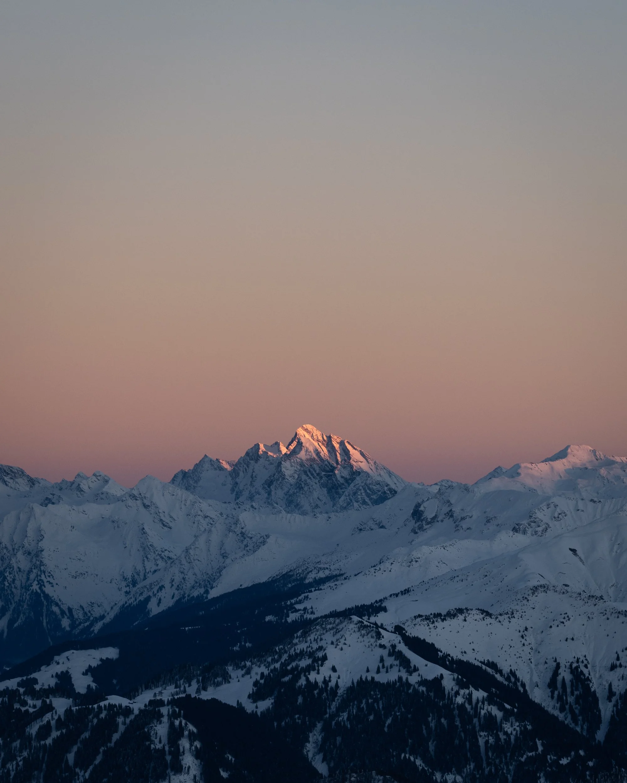 DSC_8918.JPG