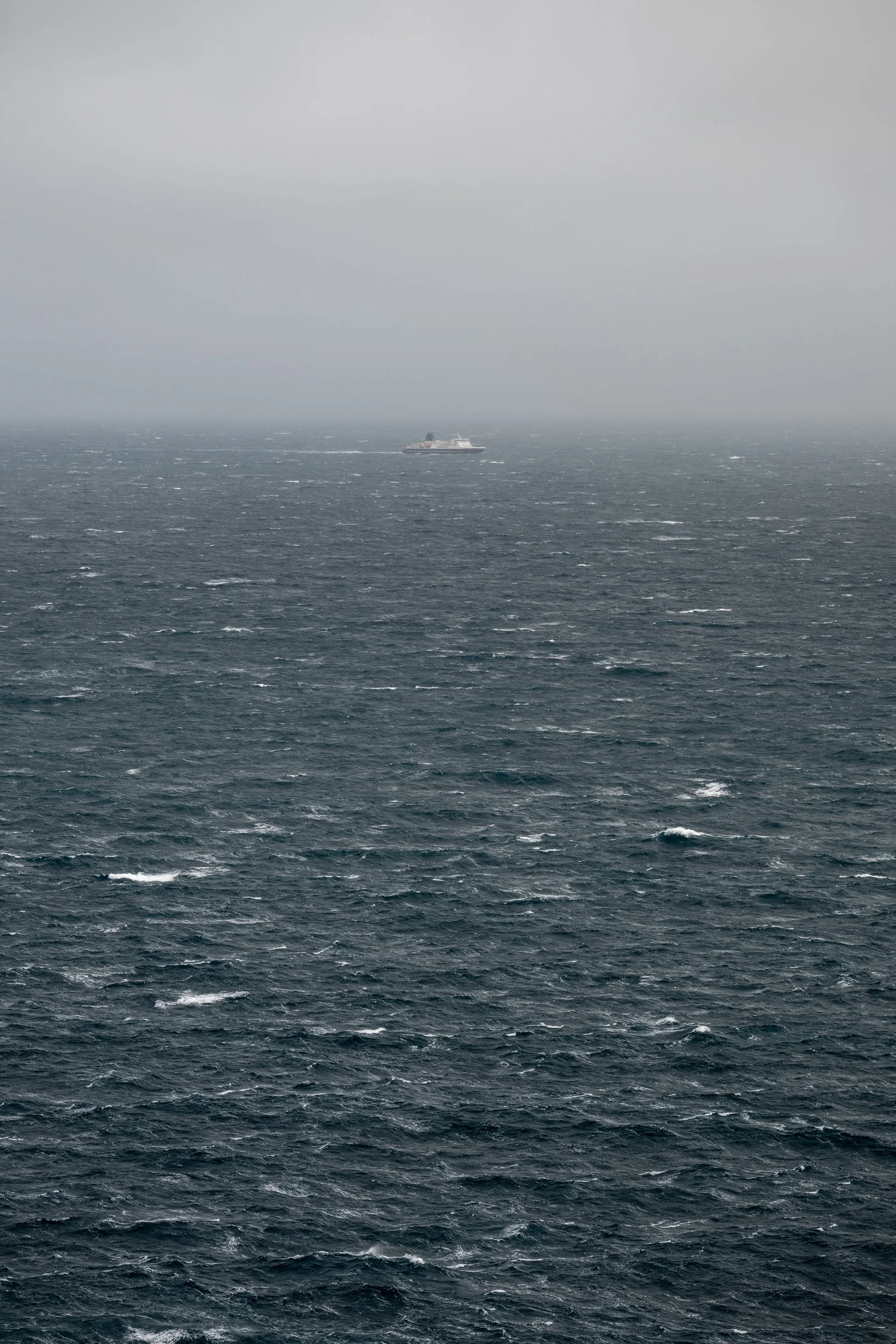 DSC_9164.jpg