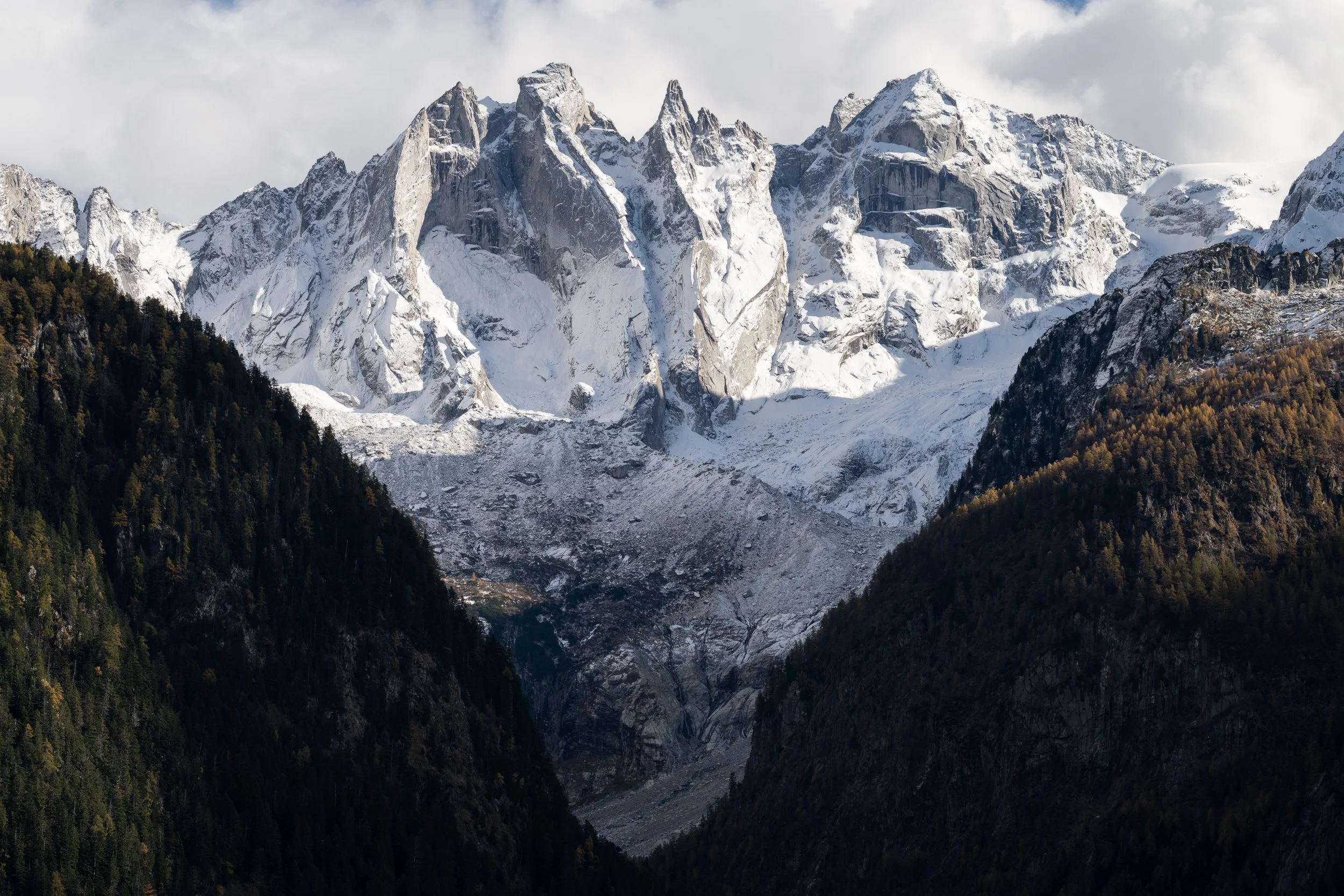 DSC_0708.jpg