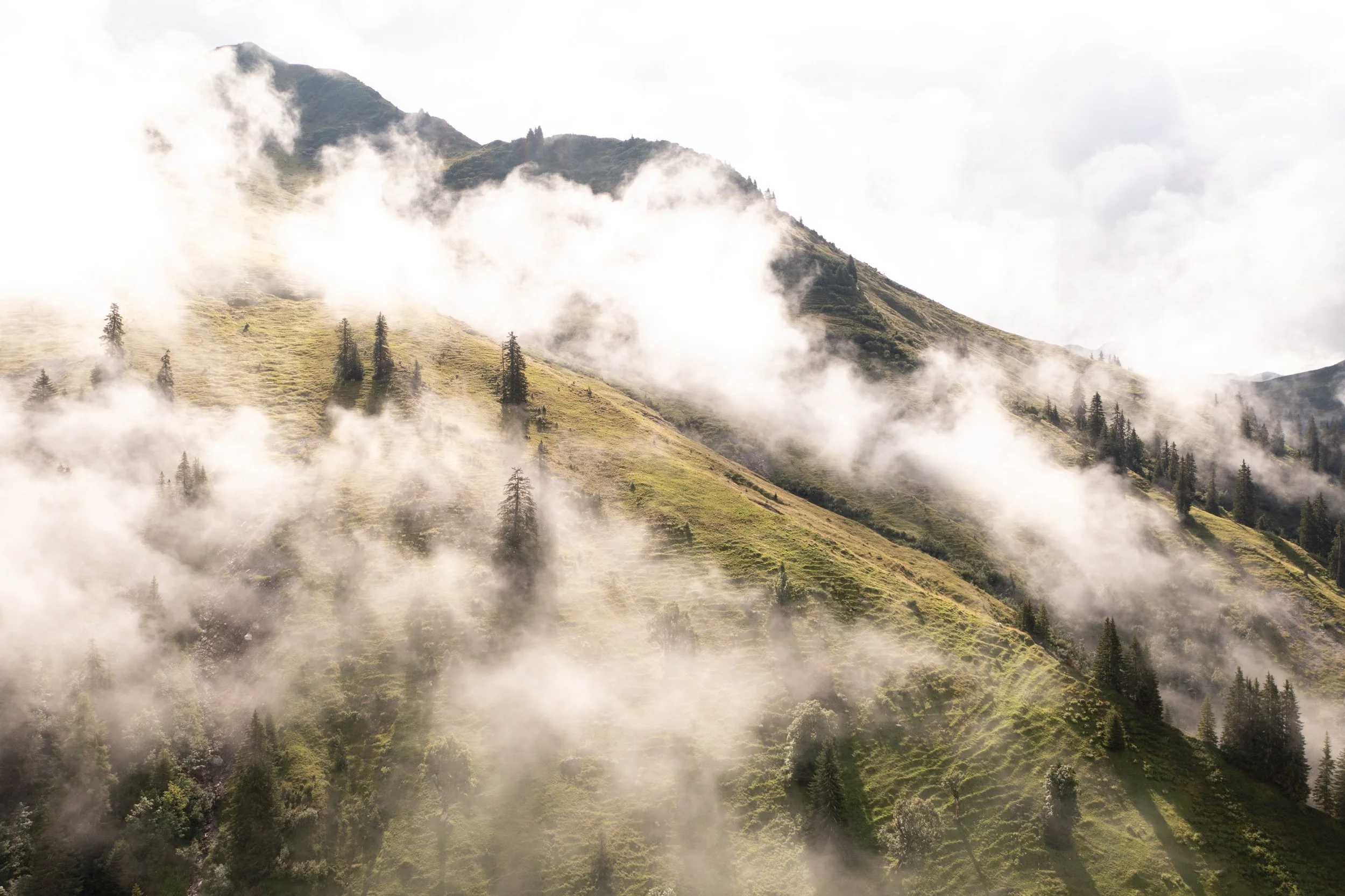 DJI_0331.jpg