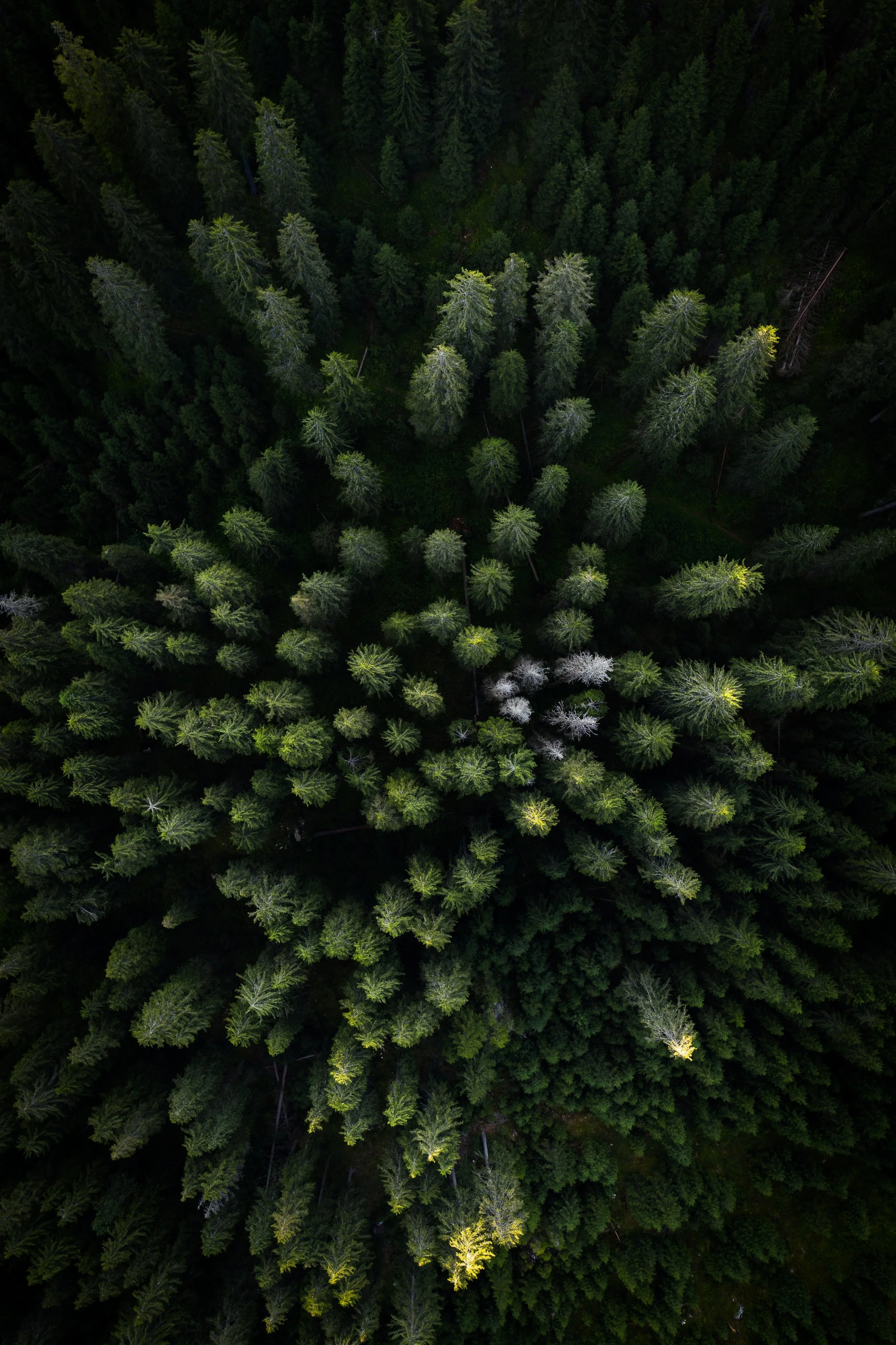 DJI_0557.jpg