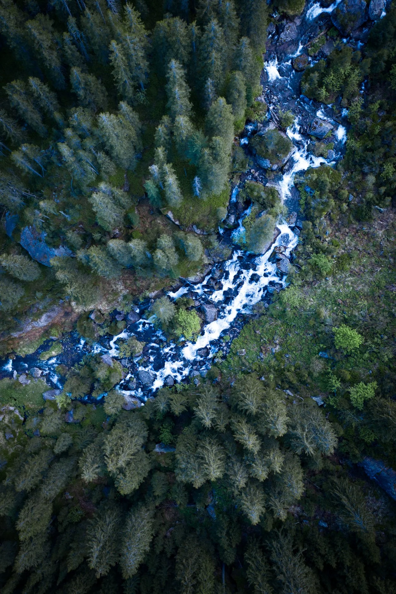 DJI_0080.jpg