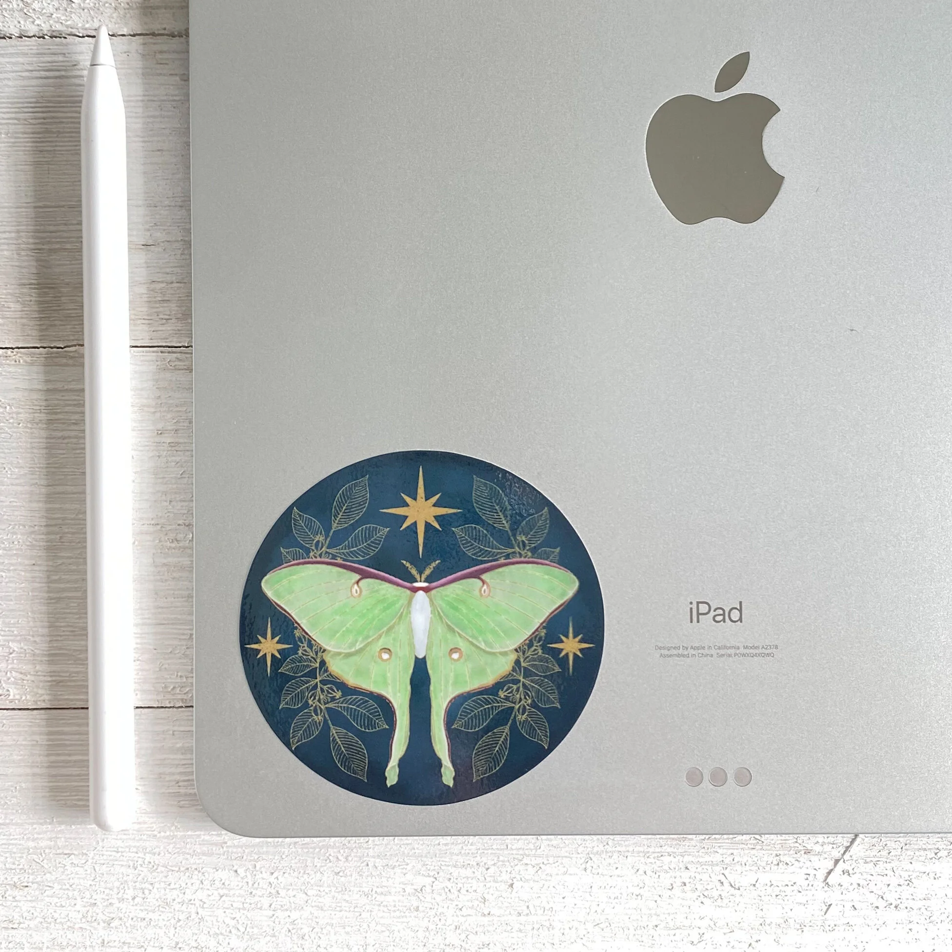 2FCC7223-C274-4985-A44E-739C648422A0