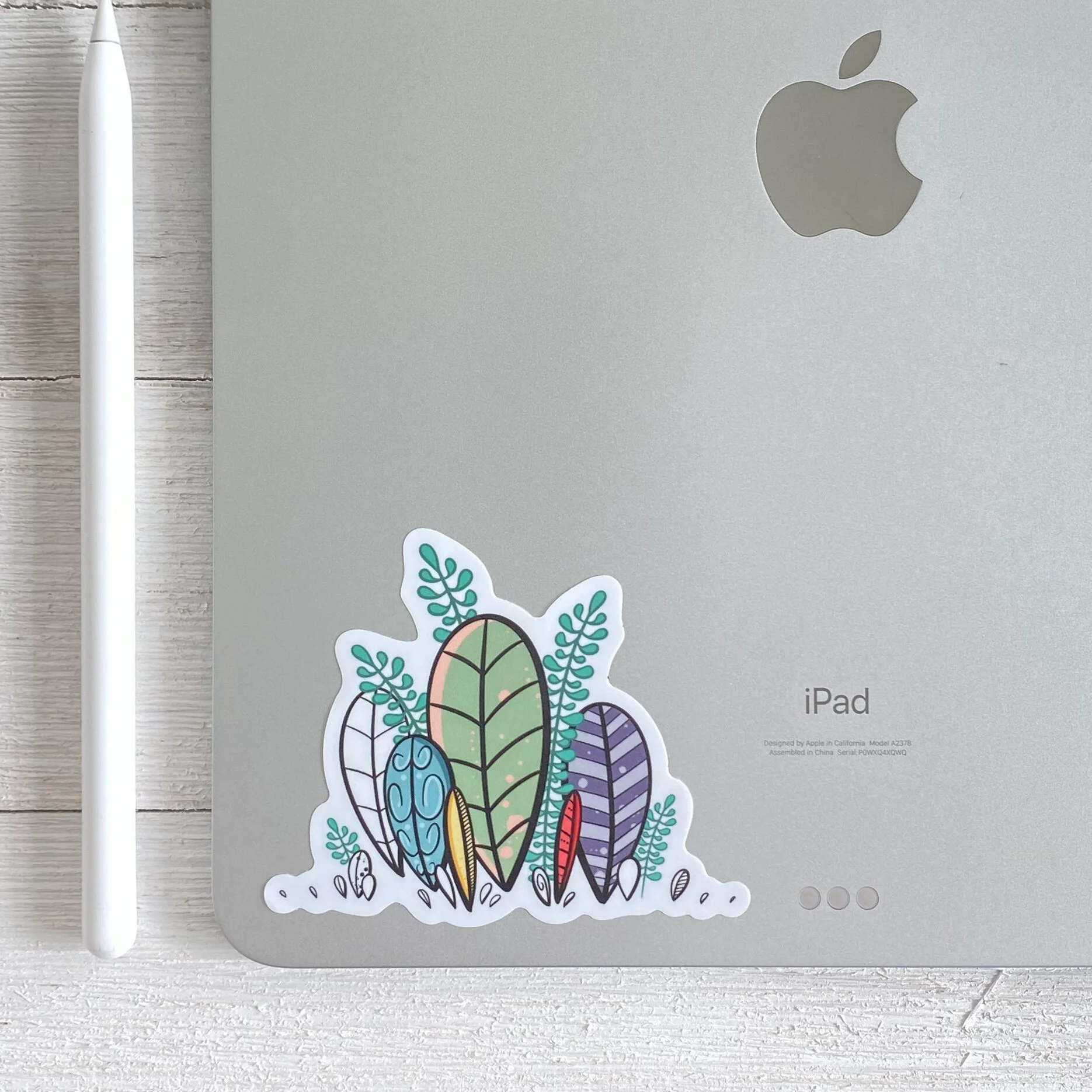 51B7740D-1917-4822-B521-A7C56379B8E3