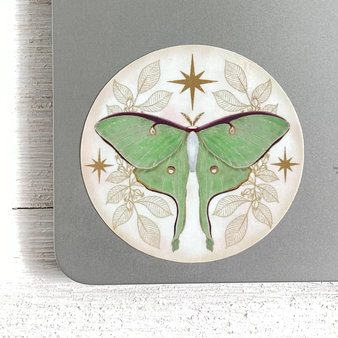 945BC85A-69ED-4003-A5AB-E4591D8A3721