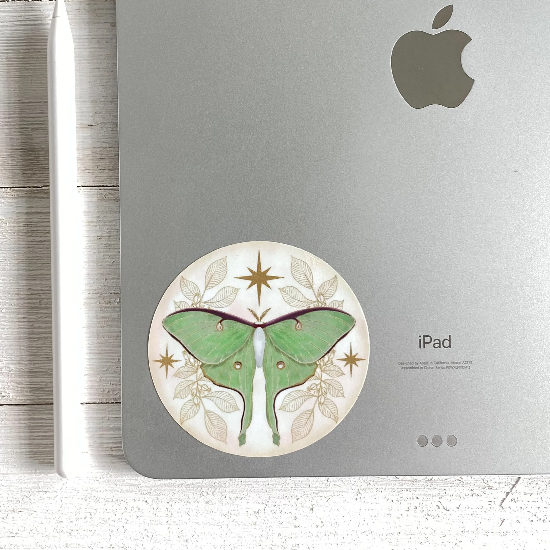 8A07E89A-E7EE-4A4C-ACF6-FA85DD709942