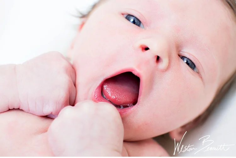 Joelle Pacifica Newborn Session Weston Bennett Photography