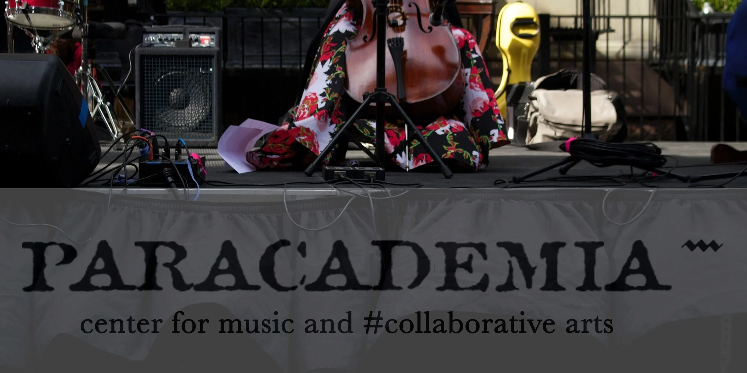 Benefit Concert for Paracademia