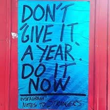 Leek... don't 'give it a year' do it now.jpeg