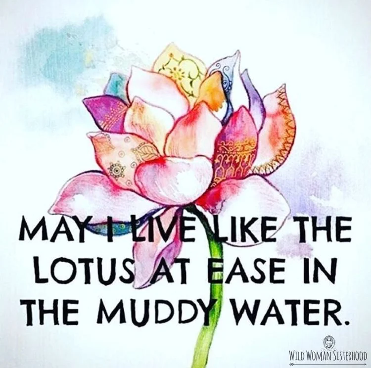 THIS IS US: Introducing MARISSA