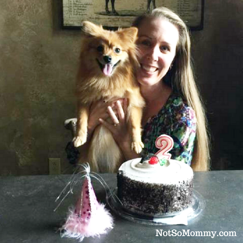 Celebrating Maddie's 2nd Birthday! May 1, 2015