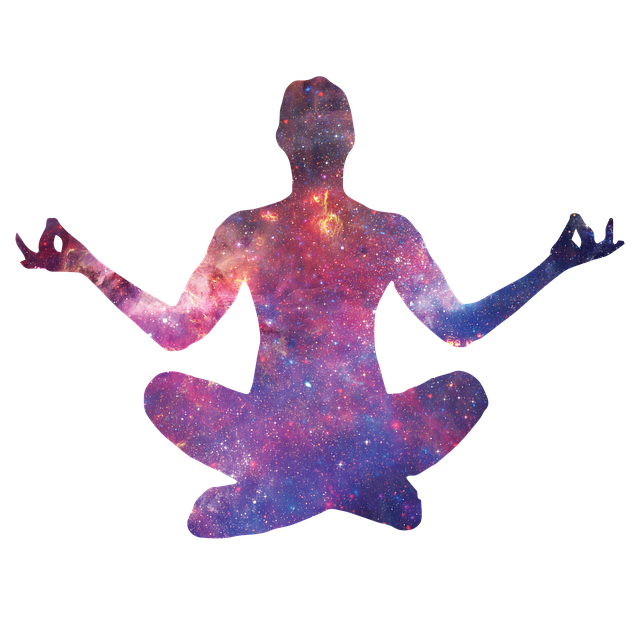 The Mind-Body Connection