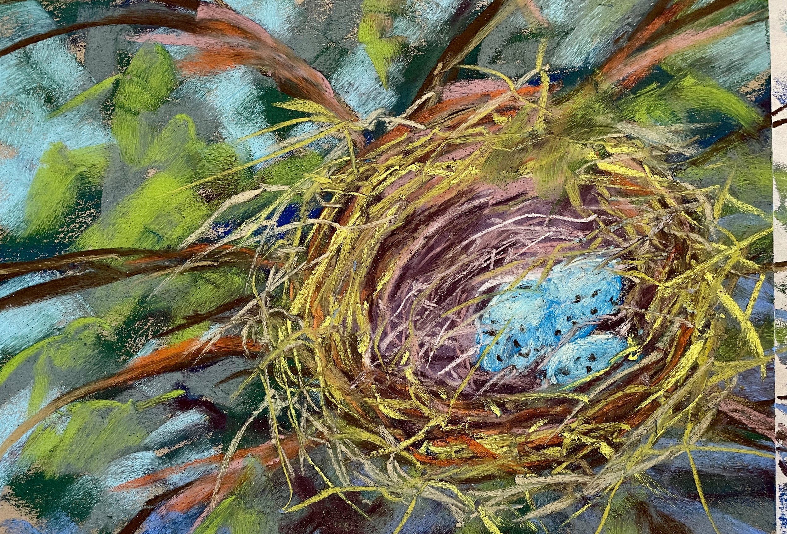 Nest-Spring's New Life.jpeg