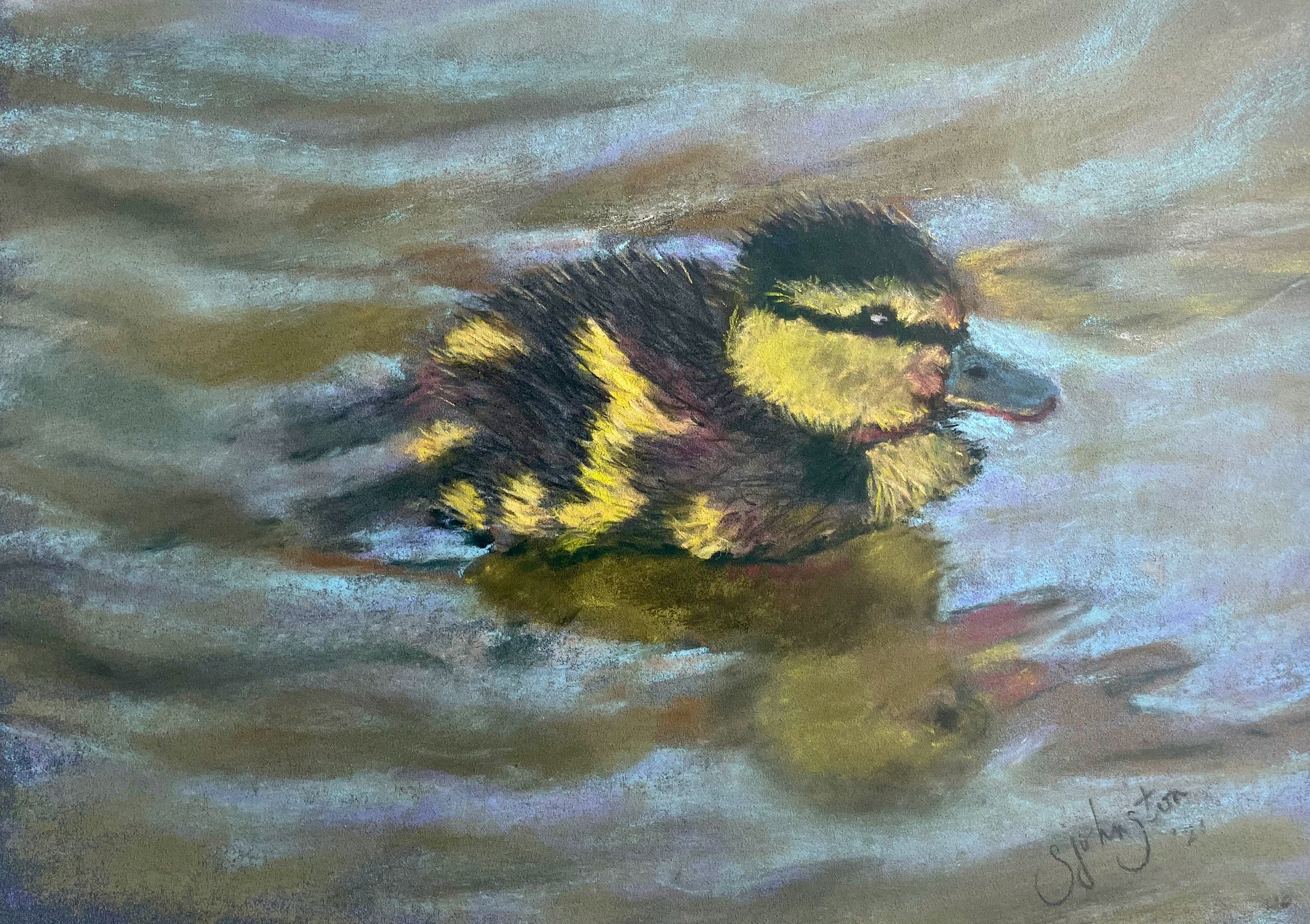 Duckling on the Pond.jpeg