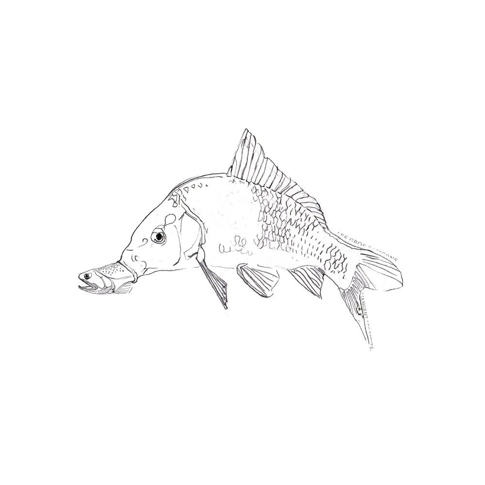 POISSON by Musca Paris shirt