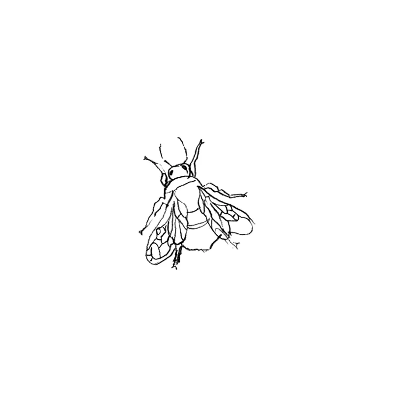 Mouche by Musca Paris
