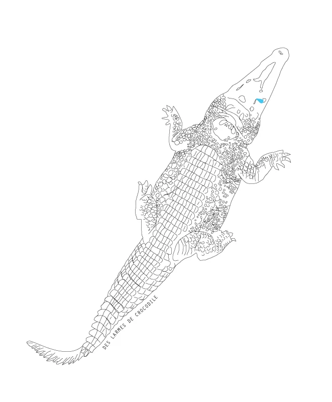 crocodile_2.jpg
