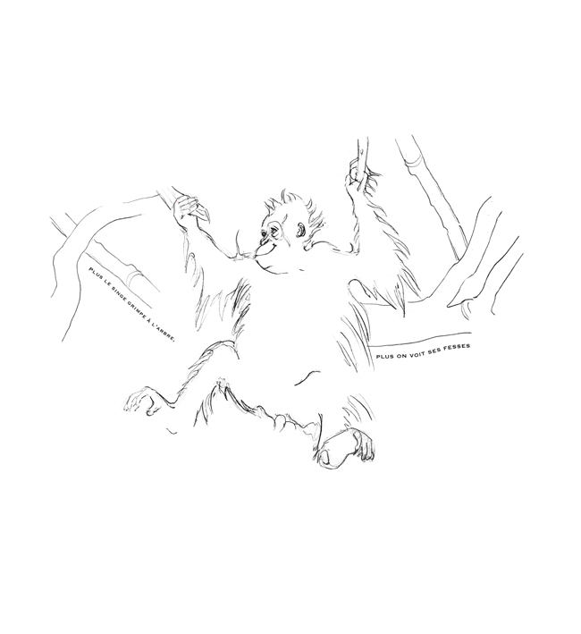 singe_NB_DEF.jpg