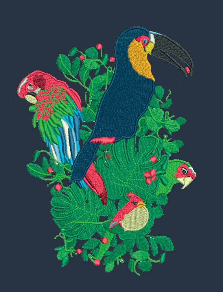 Jungle-sweat-organic-musca-paris