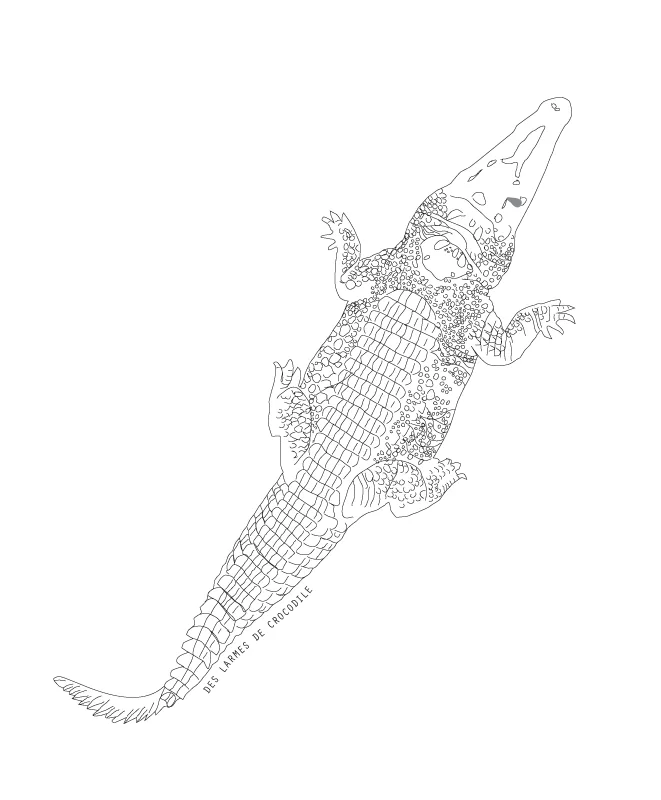 crocodile_n&b_2.jpg
