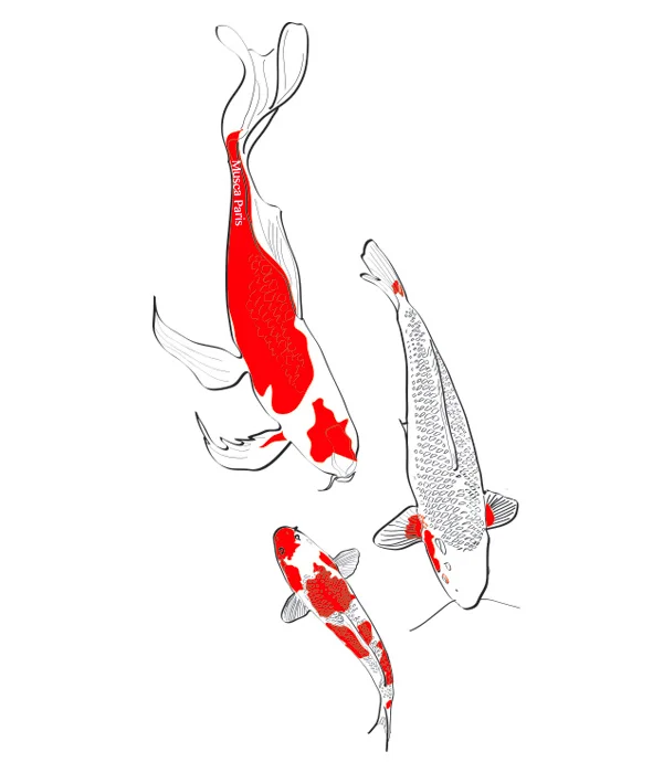 poisson_sign_vignette.jpg