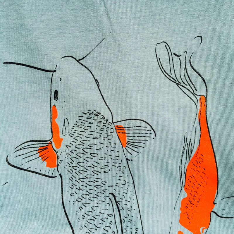 koi_zoom_bleu.jpg