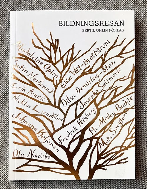 The Educational Journey - Cover and interior design and illustration