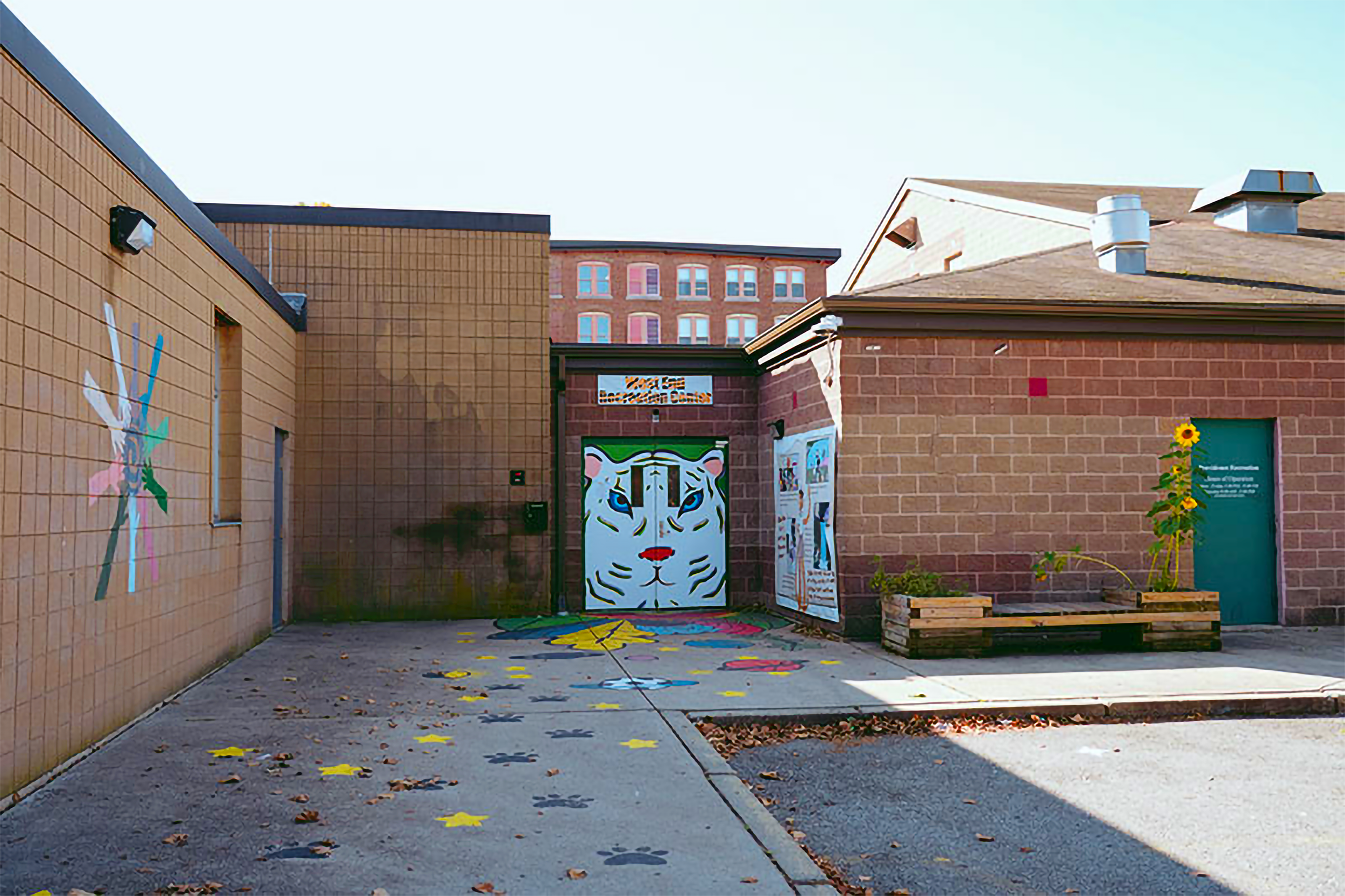 GRAPHICS + MURALS