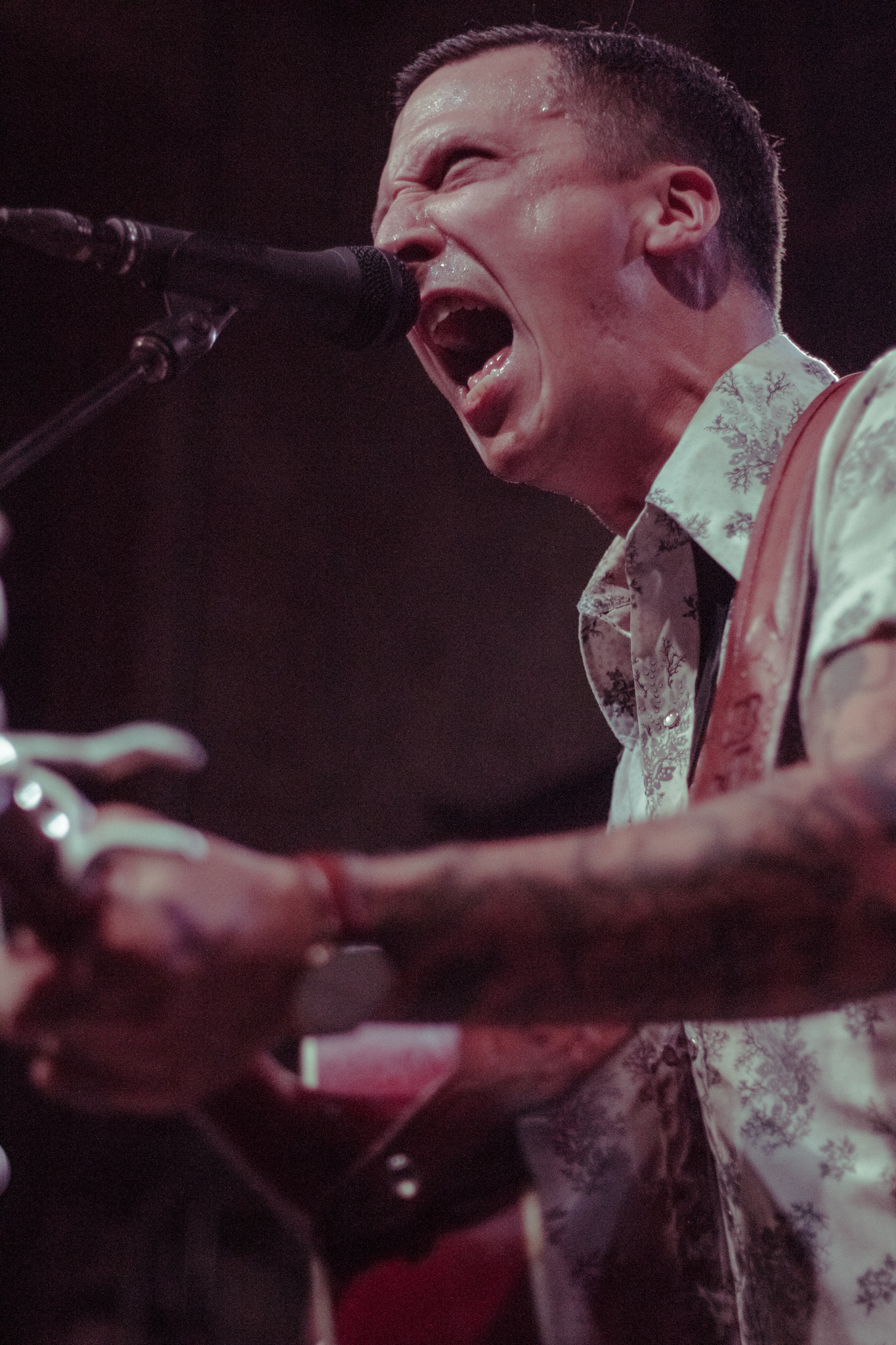 Laura Ord Photography | Austin, TX Concert Photography