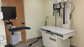 xray_350.jpg