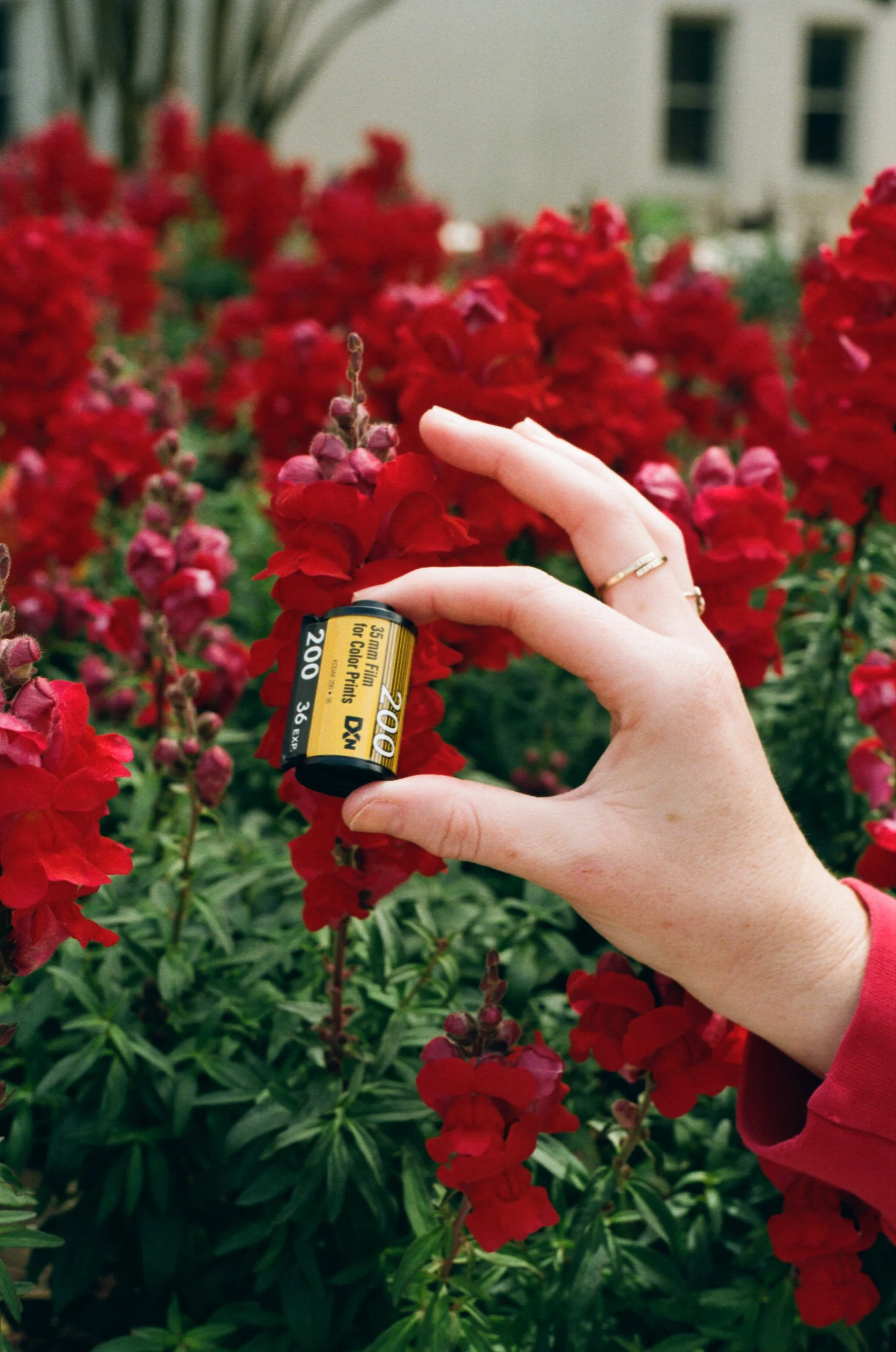 Why Film? Because Digital Doesn't Feel Like This.