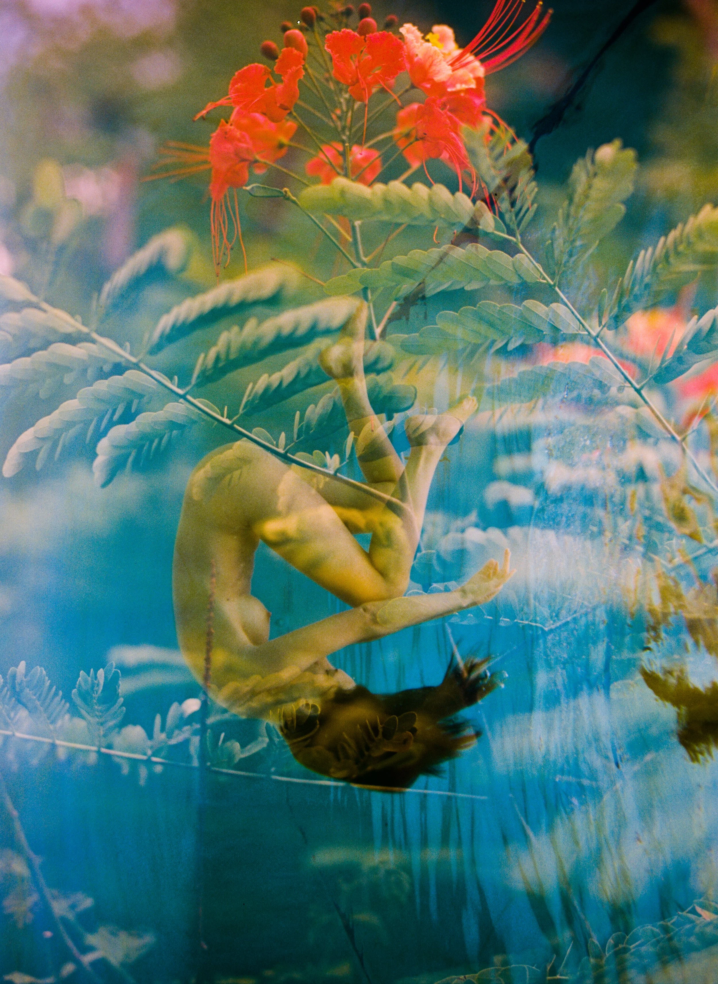 Photo by Ryan Muirhead