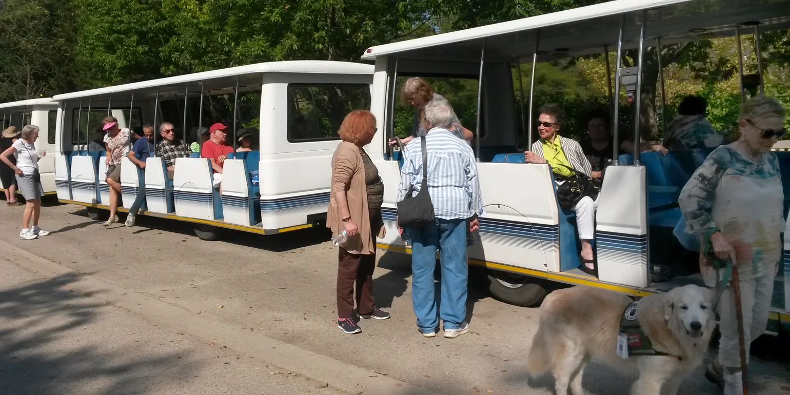 tram 1.jpg